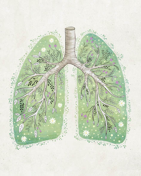 Licenciamento PT Pulmão da terra.jpg