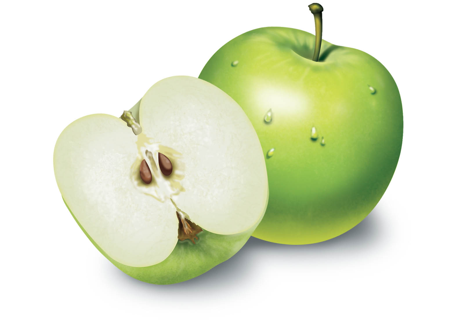 Dimbinho ilustrações.jpg